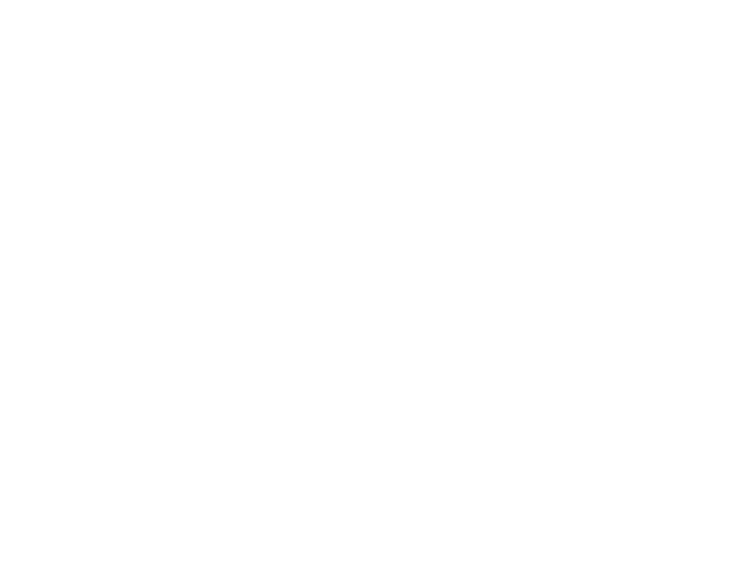 logo fundació
